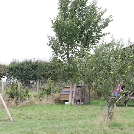 Taartentuin * Aarlanderveen